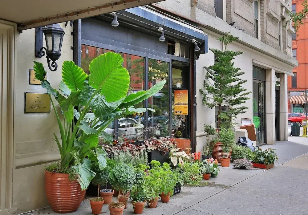 Charming Studio Half Block To Central Park Uws