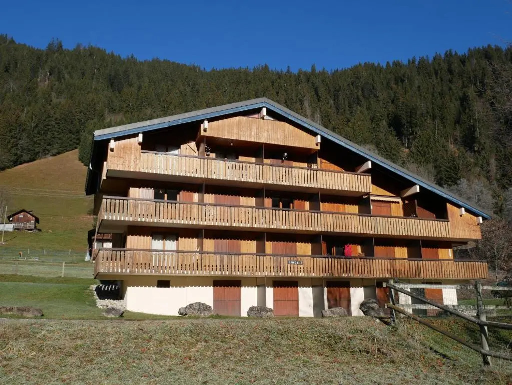 Appartement 4 personnes au pied des pistes du Linga à CHÂTEL