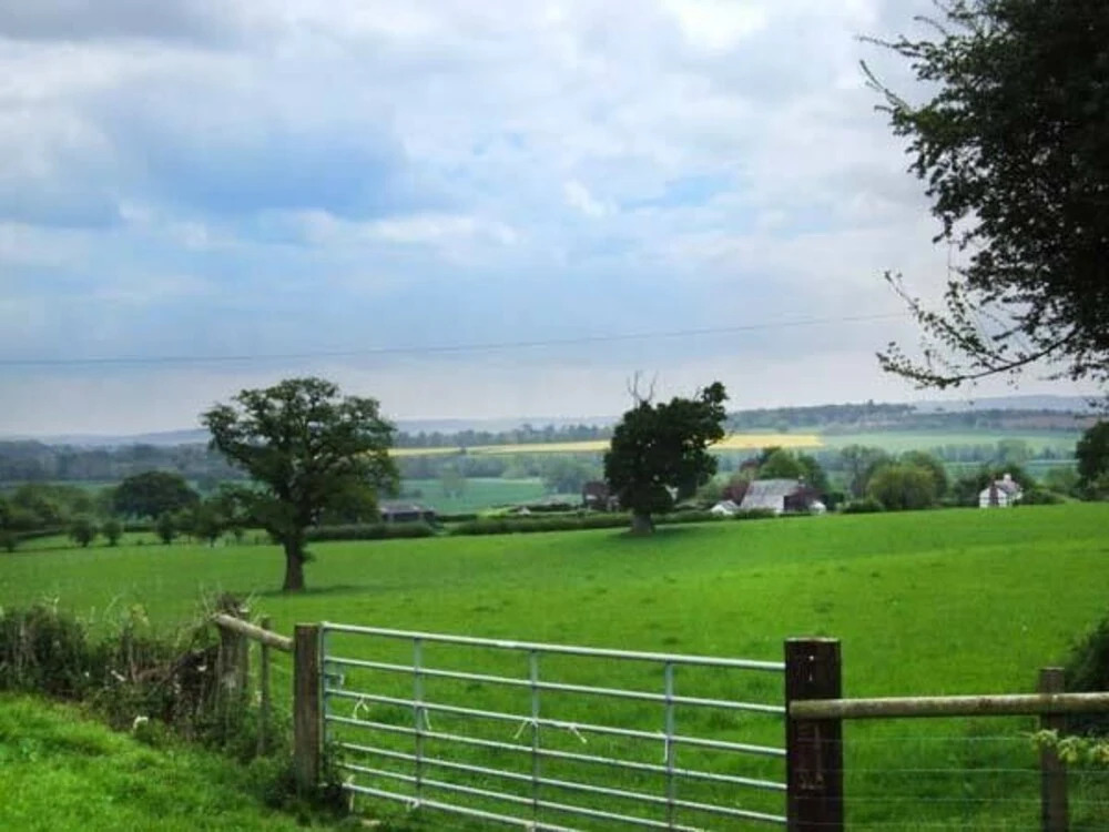 Tyn-y-cae