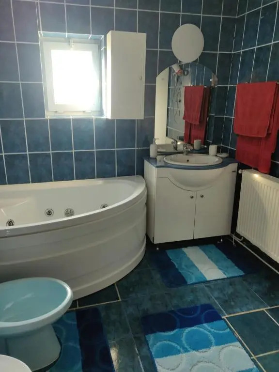 Apartament CASA ALEXIA