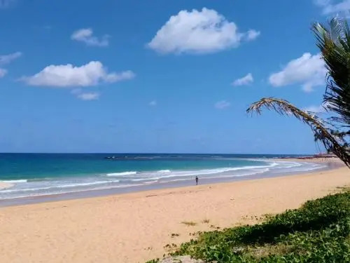 Beach Class Eco Life Muro Alto 9003