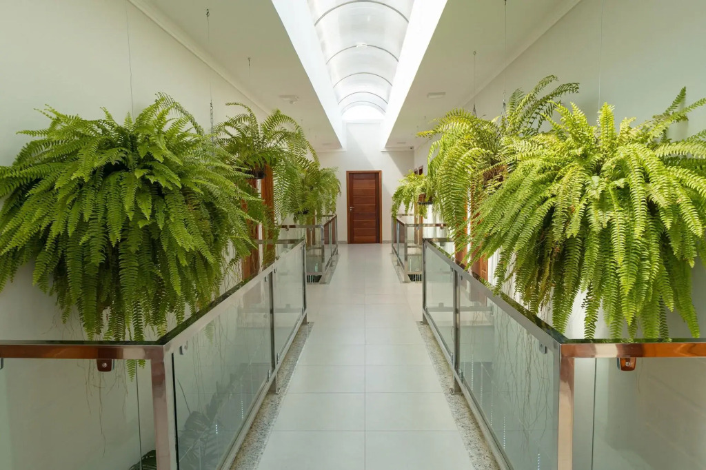 Orquídeas Praia Hotel