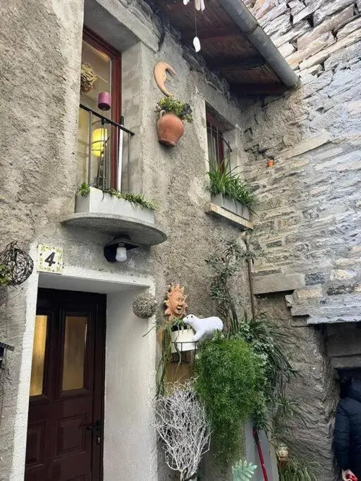 Cozy house in the old town