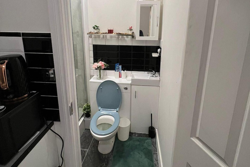 Lovely Apartment Close to Acton Central Station