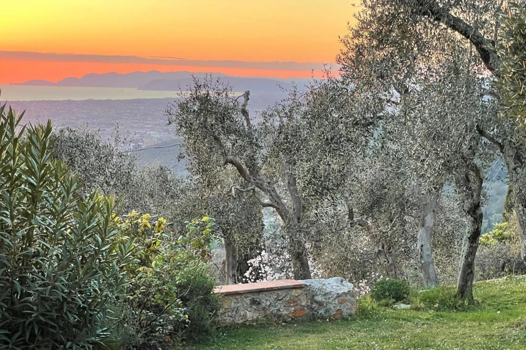 Villa Fiorita, Monteggiori