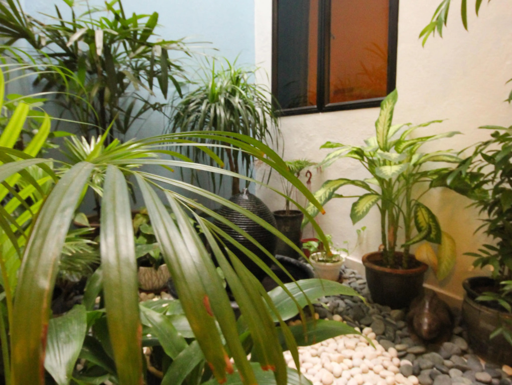 Orange Pekoe Guesthouse