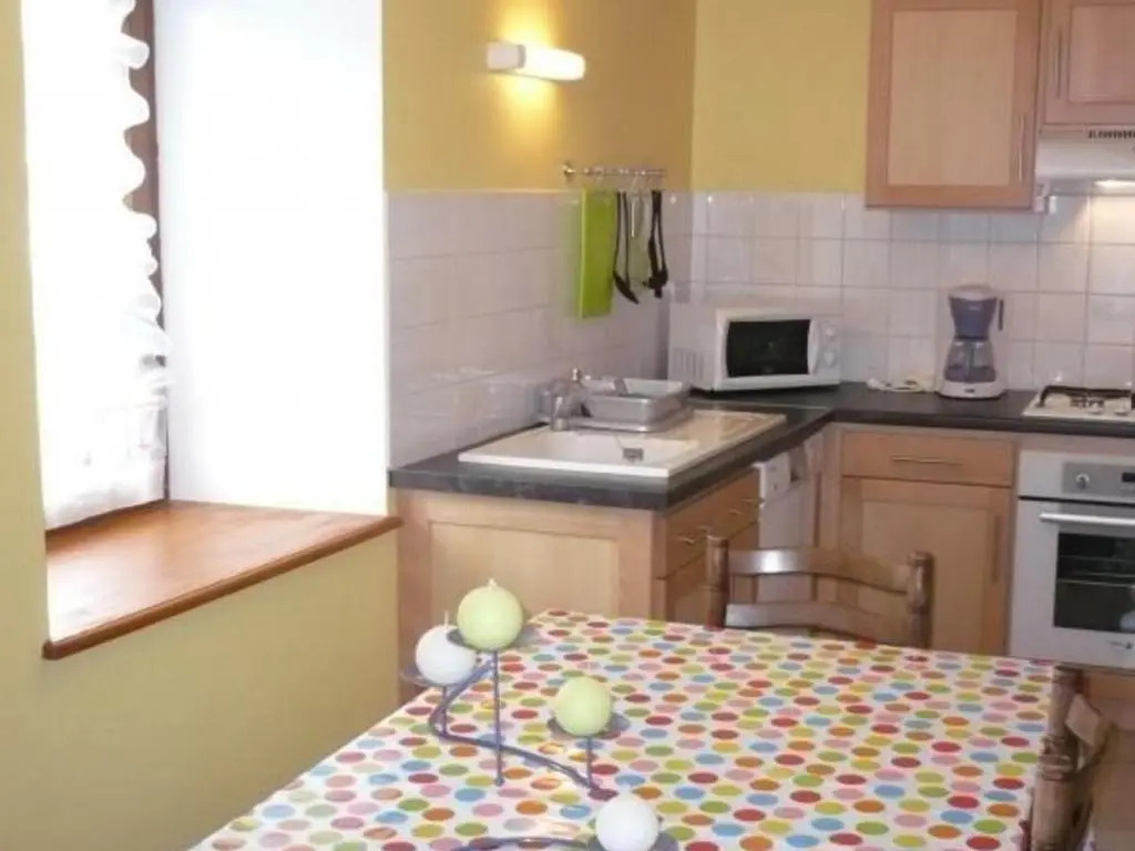 Gîte confortable, animaux admis, proche ski et randonnées - FR-1-496-199