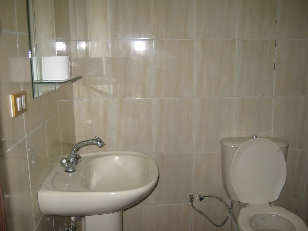 Great Alexander Hostel