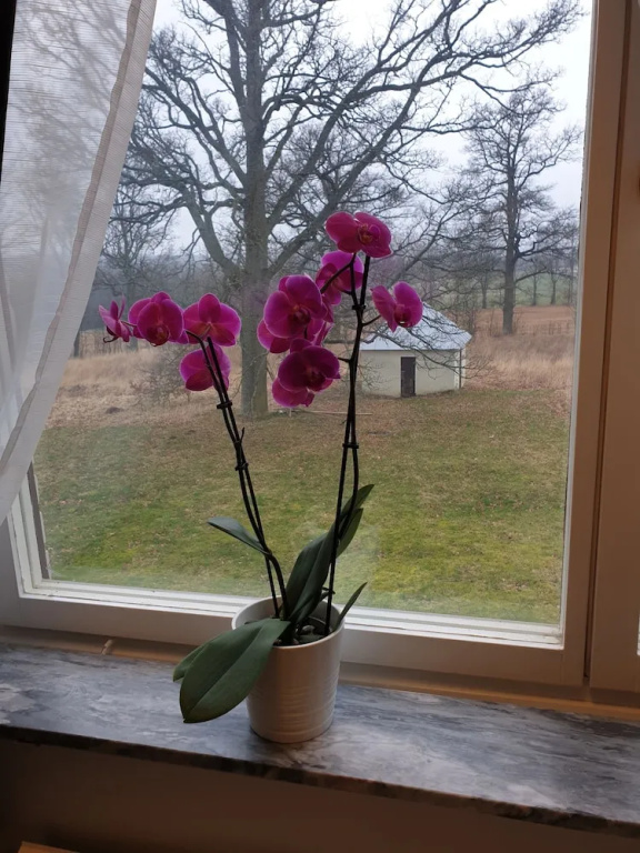 Tokeryds Herrgård