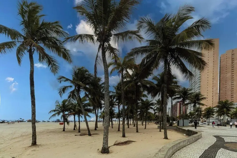 Apto Pet-friendly a 400m da Praia do Boqueir o
