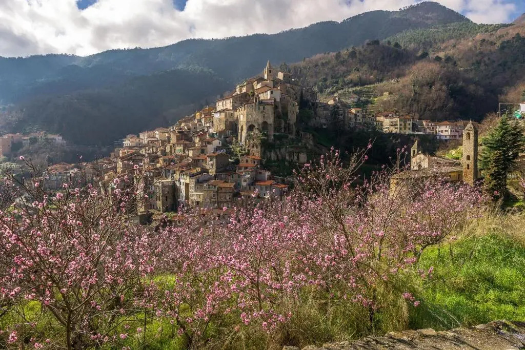Bella Vista