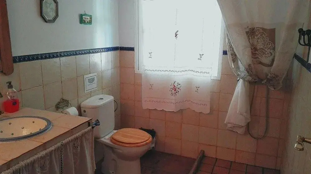 La Luciérnaga