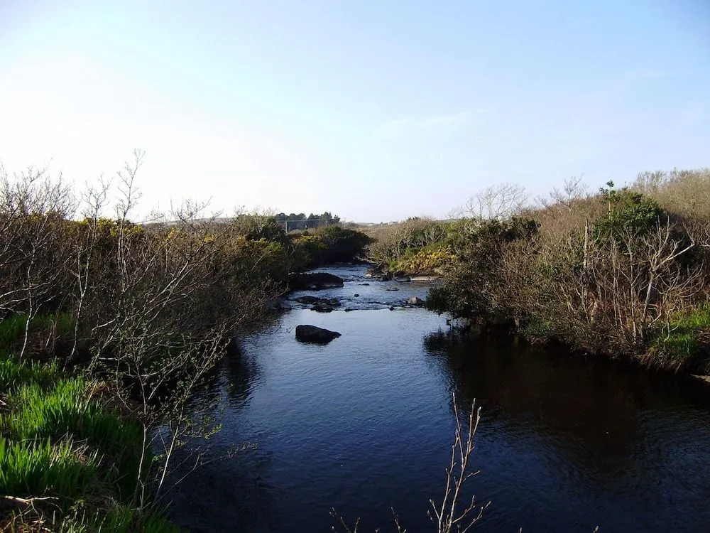 Cloverfox Connemara