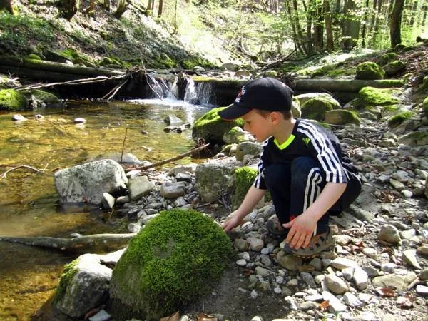 Baby- und Kinderhof Aicherbauer