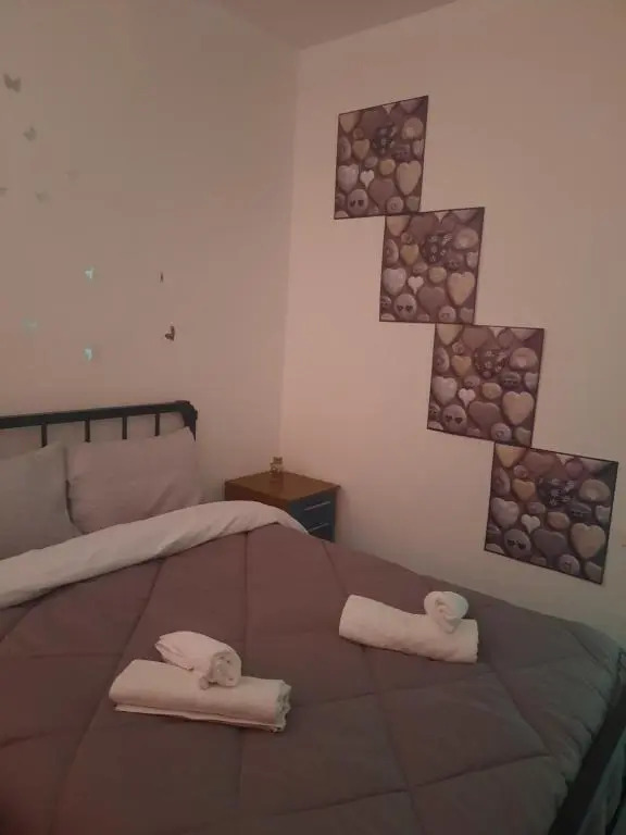 Evis Rooms