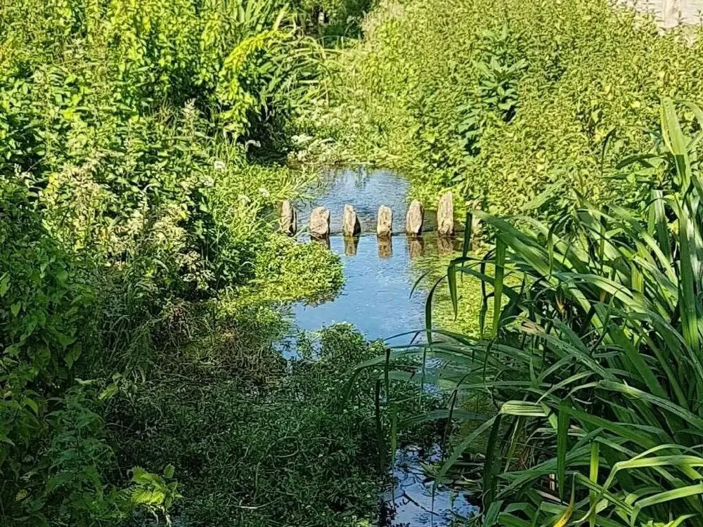 Streamside Apartments