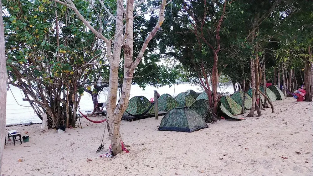 Plankton Bungalow and Camping