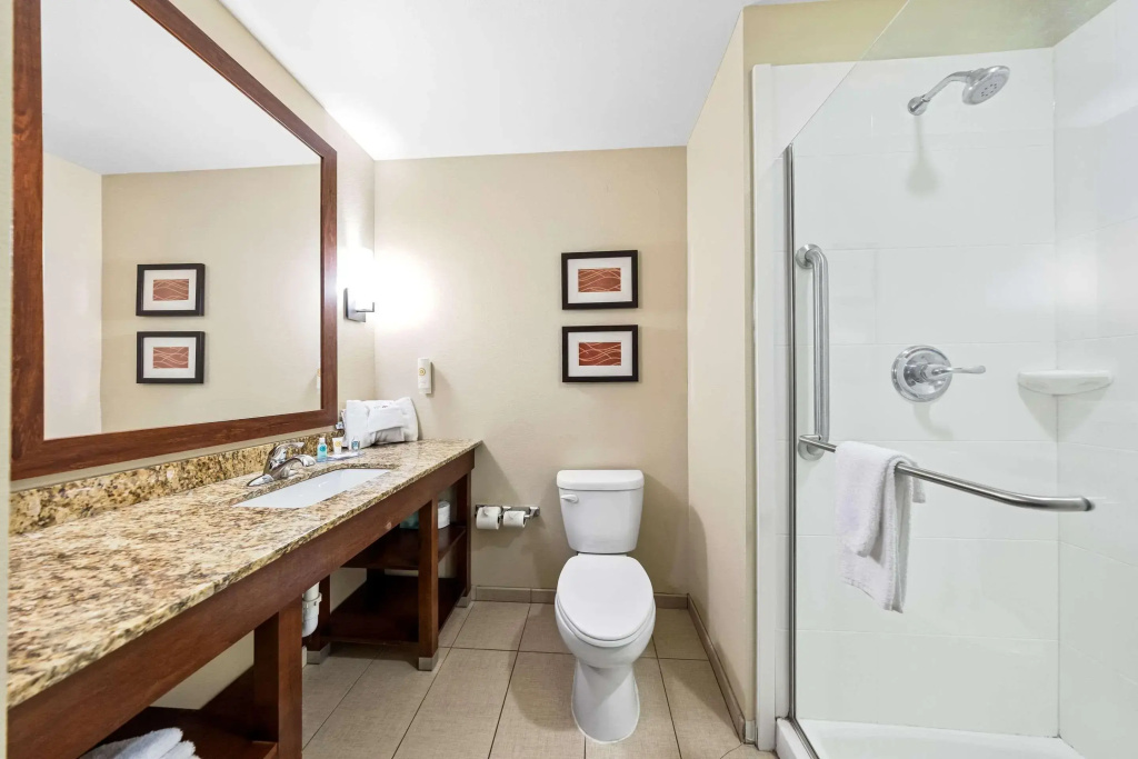 Comfort Inn & Suites West - Medical Center