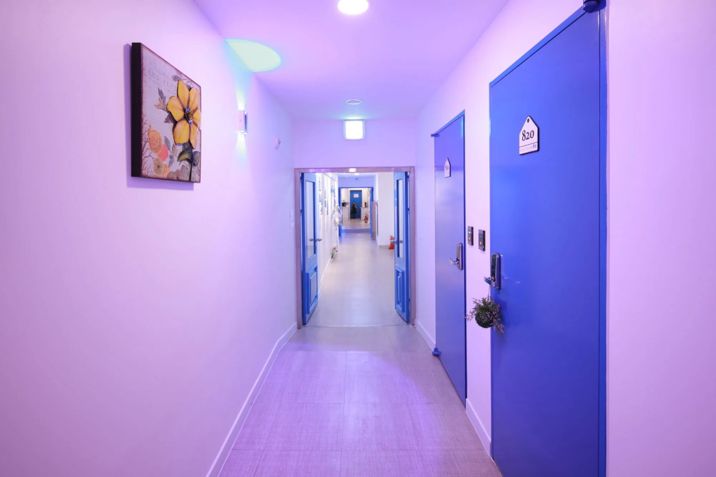 Road Myeongdong Guesthouse