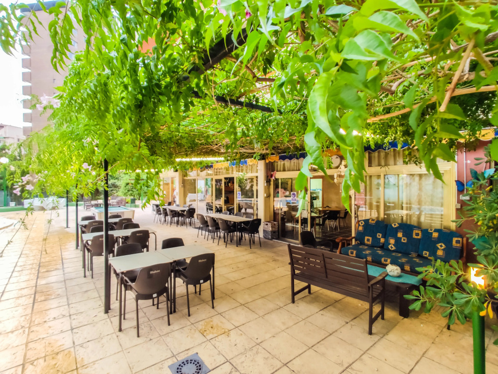 Picasso-Fincas Benidorm