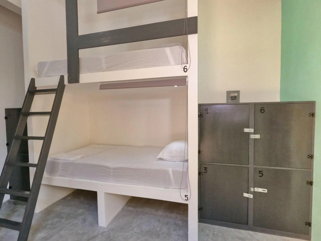 Paziflora Hostel -STARLINK