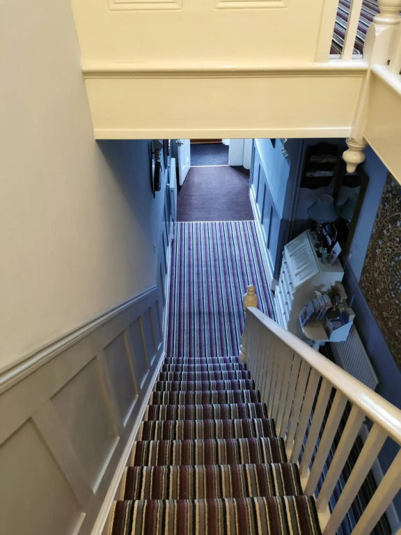 The Elmfield