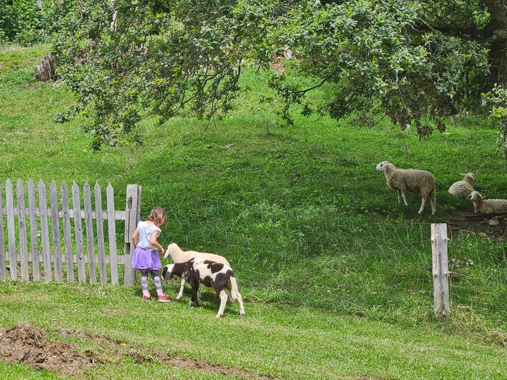 Tourist Farm PrDovar