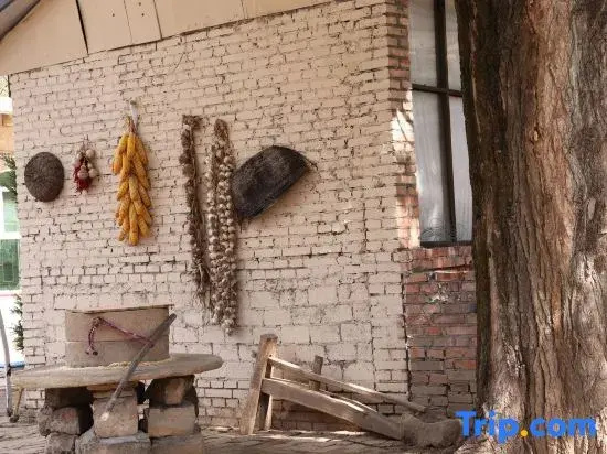 Yan'an Xinyuan Cave Homestay