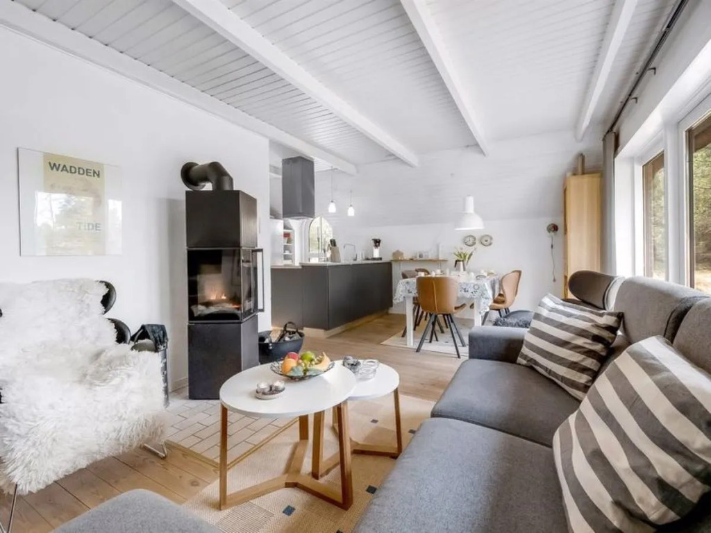 "Dakota" - 850m from the sea in Western Jutland