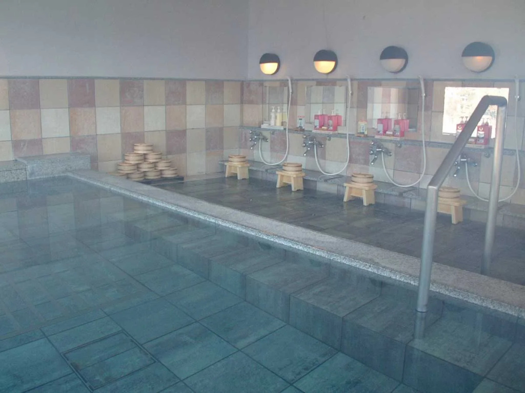 Hotel Musashiya