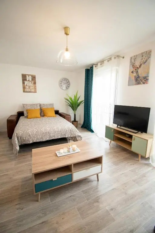 Le Scandinave T2-40m2-Face Val d'Europe-Disney
