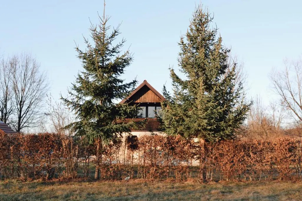 Cuib din Fagaras