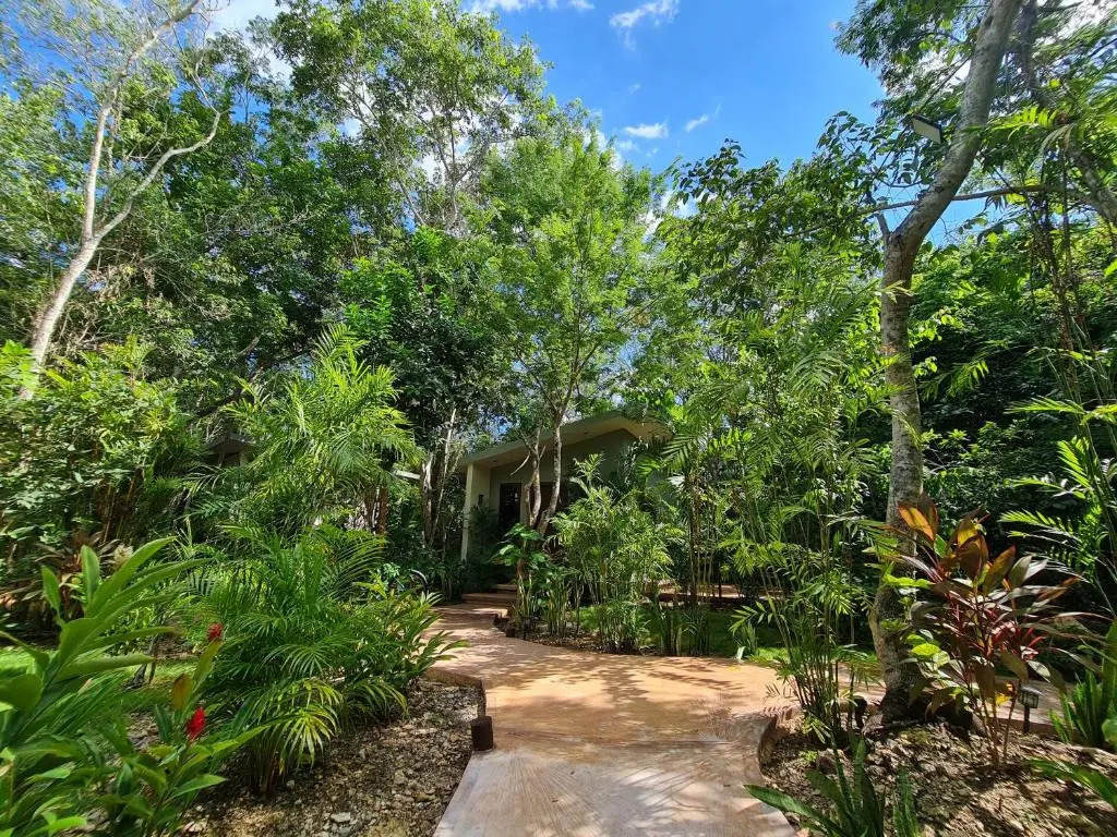 Secret Gardens Bacalar Suite 01 con alberca y bicicletas