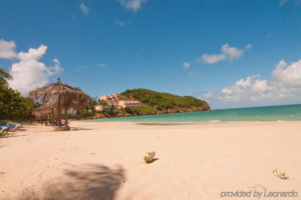 Coconut Beach Club