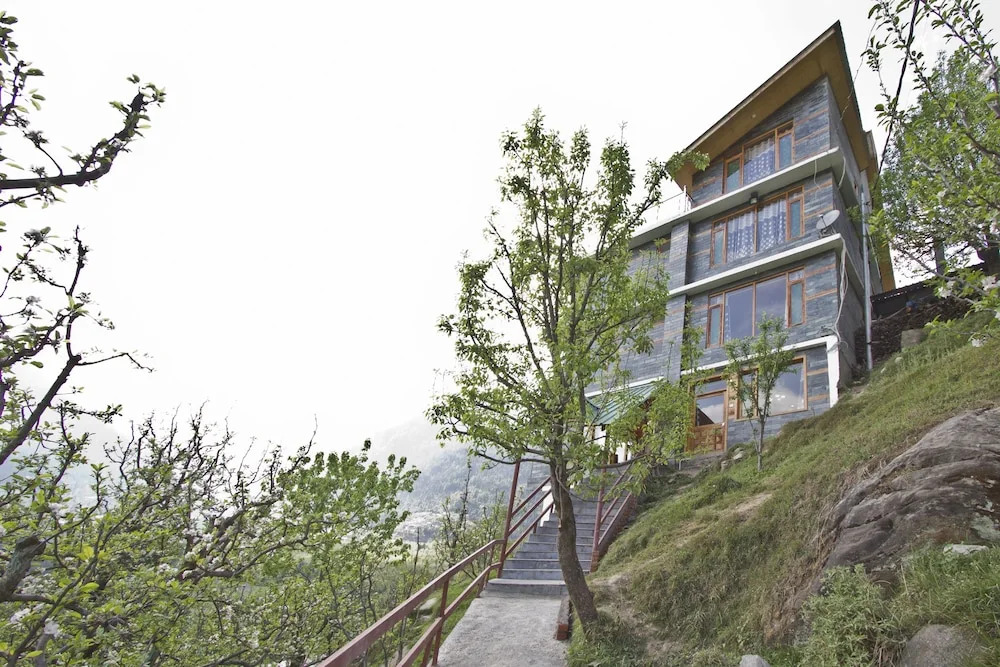 OYO 8724 Vashisht
