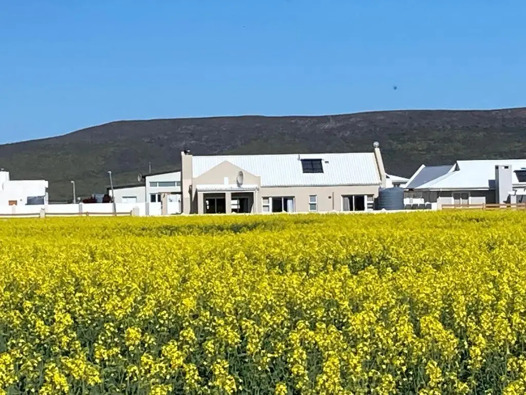 Sunnyside holiday home in WItsand