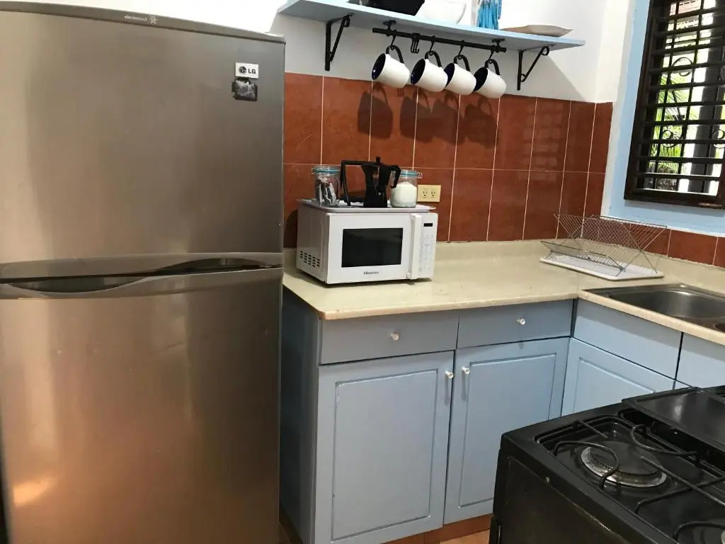 Zona Colonial 2 Bedrooms Apartment