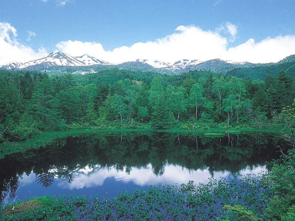 Norikurakogen Onsen Peeplo Norikura