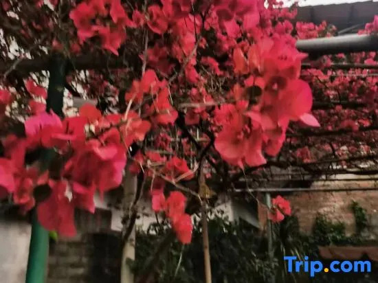 Sanjiang Xinhai Keju