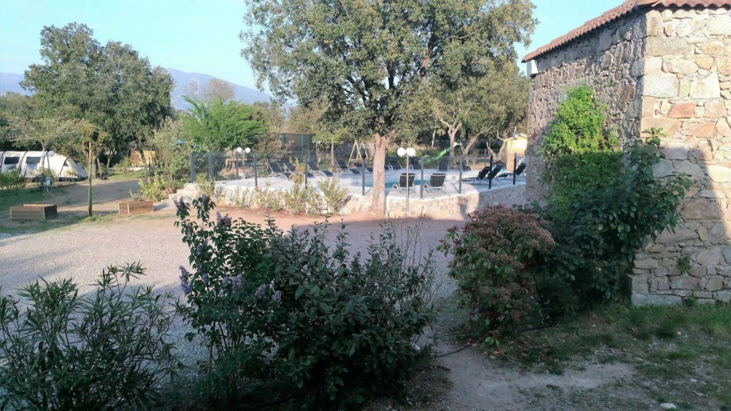 E Canicce