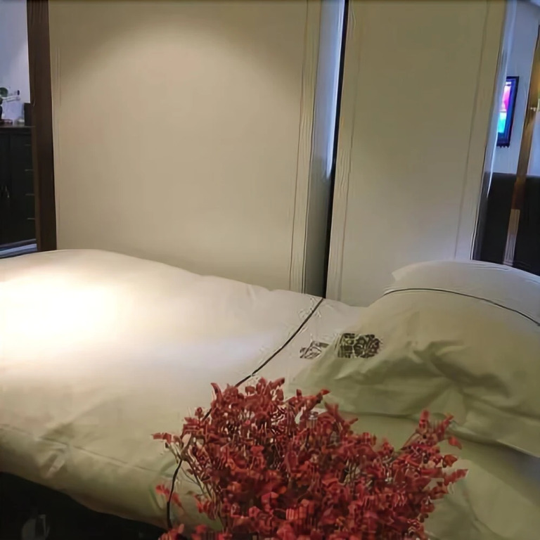 Peach Bloom Hotel(南通桃之华馆)