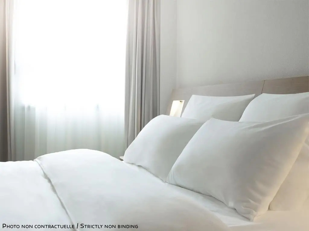 ibis Aracruz