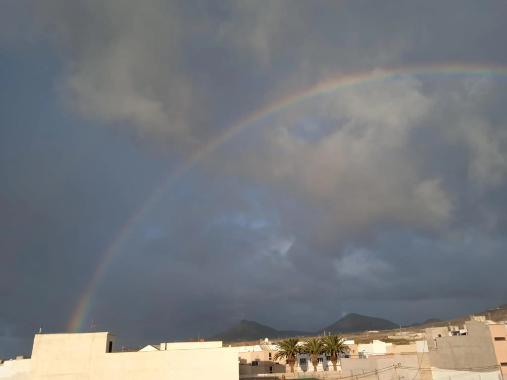En Suite Apartment con Zona de Patio- App A