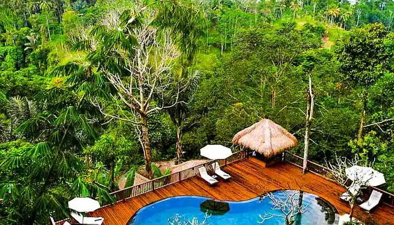 Green Forest Resort & Wedding by Horison