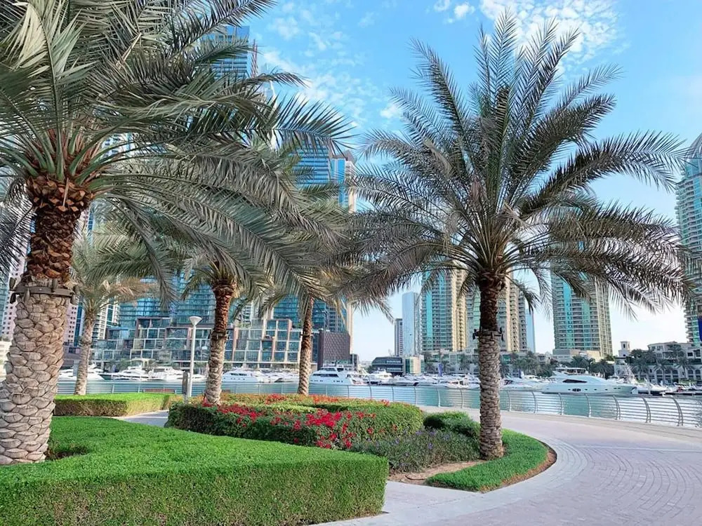 Lux High Rise Marina Apartment