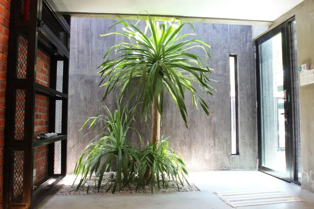 The Owl Homestay