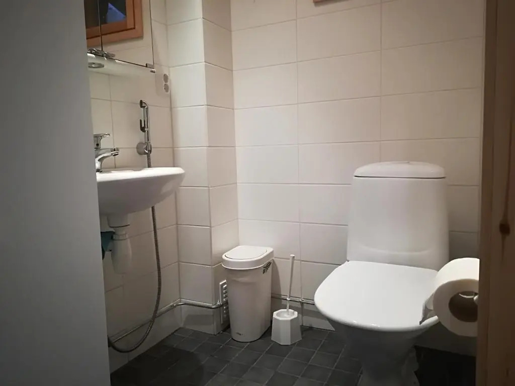Apartment Aarni