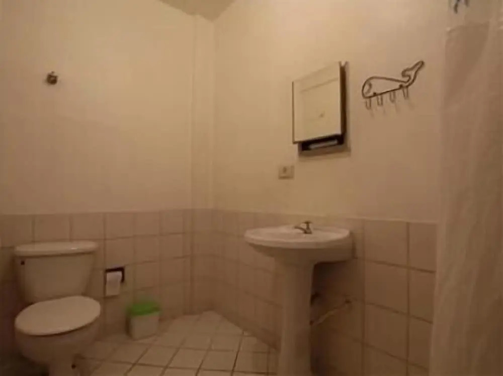 GoHouse - Jau Sp 23