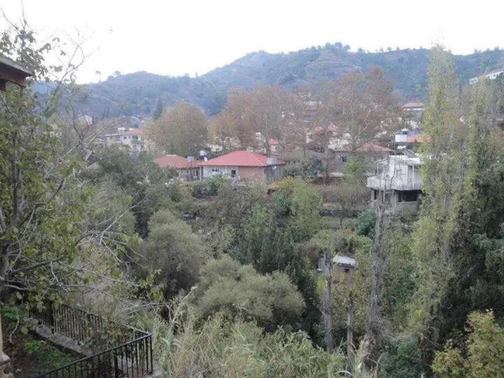 Irenes House