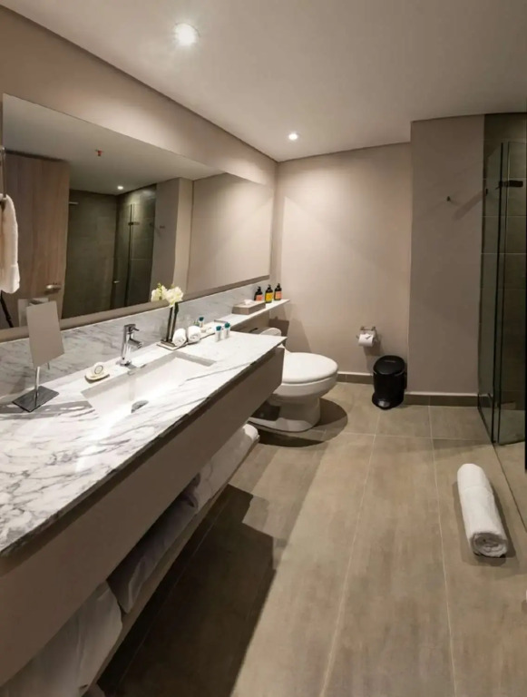 York Medellin, Curio Collection by Hilton